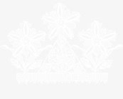 矢量花纹欧式纹理免抠