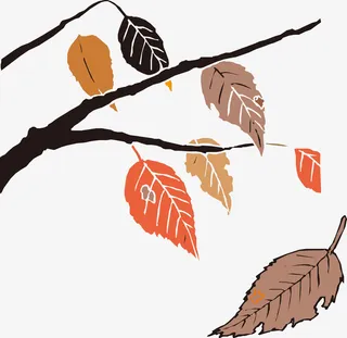 秋天枯枝落叶免抠