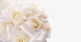 白色玫瑰花束免抠