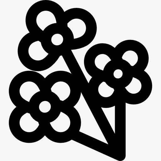 Flowers 图标免抠