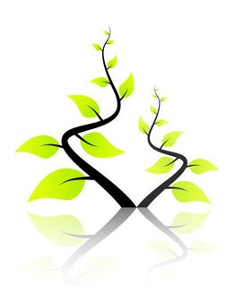 树叶花纹背景免抠背景底纹元素