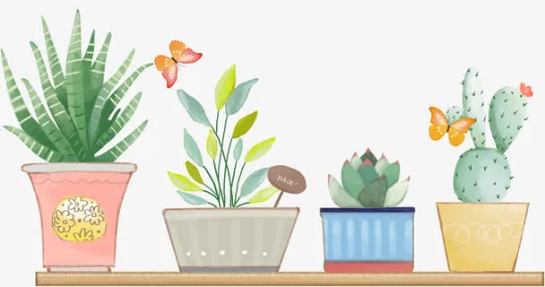 手绘小清新植物花卉元素免抠