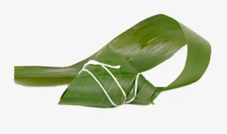 新鲜的粽子叶免抠