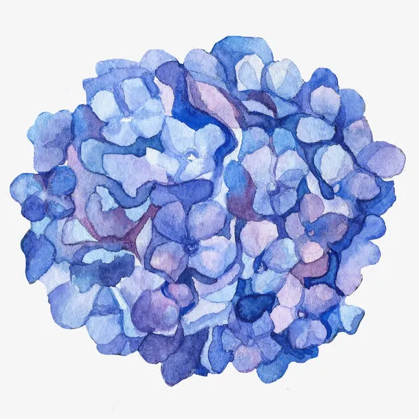 蓝色的花免抠