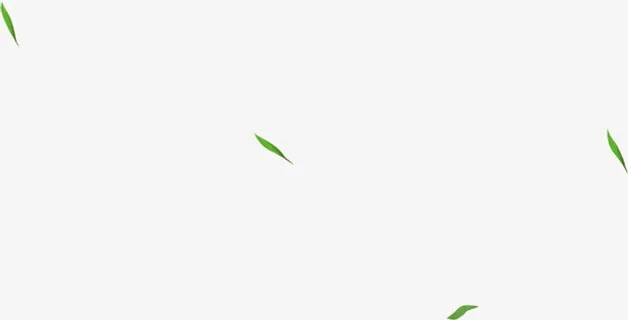 树叶漂浮元素免抠