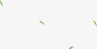 树叶漂浮元素免抠