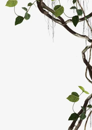 绿叶树枝图片免抠