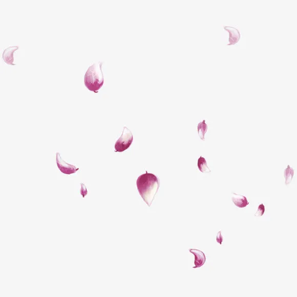 漂浮花瓣png图片免抠