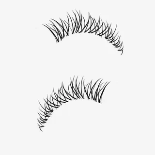 两个黑色眼睫毛免抠