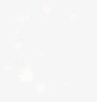 花卉png素材免抠