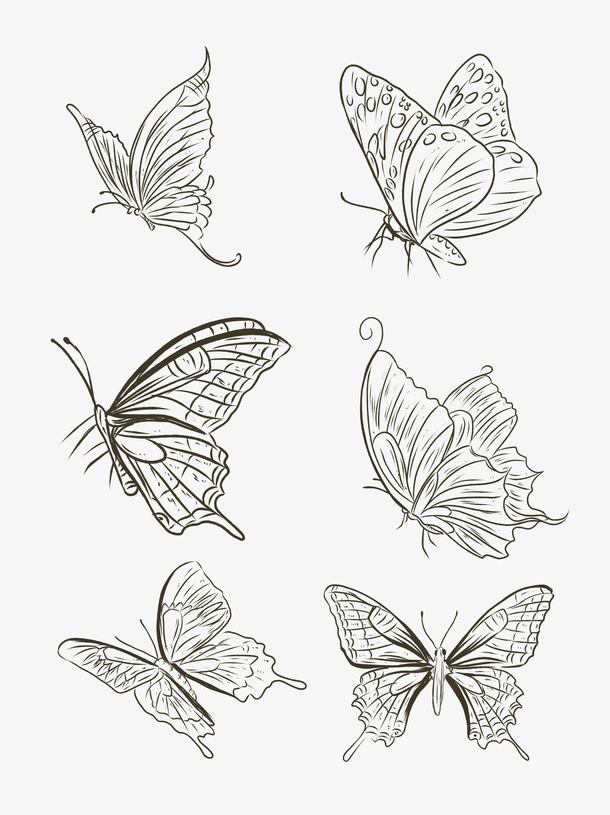 蝴蝶黑白插画免抠