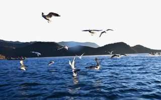 旅游景区泸沽湖免抠