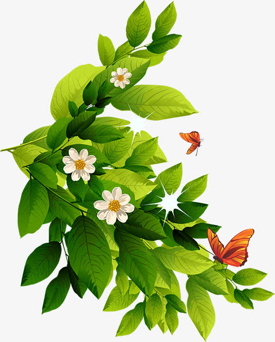 花叶素材免抠动植物植物元素
