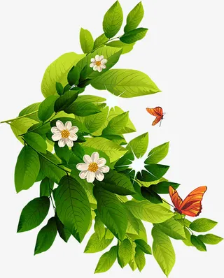 花叶素材免抠动植物植物元素