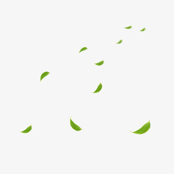 飘落的绿叶免抠