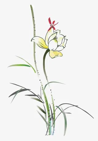 兰花素材图片元素免抠