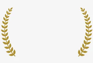 麦穗花纹框选图片免抠