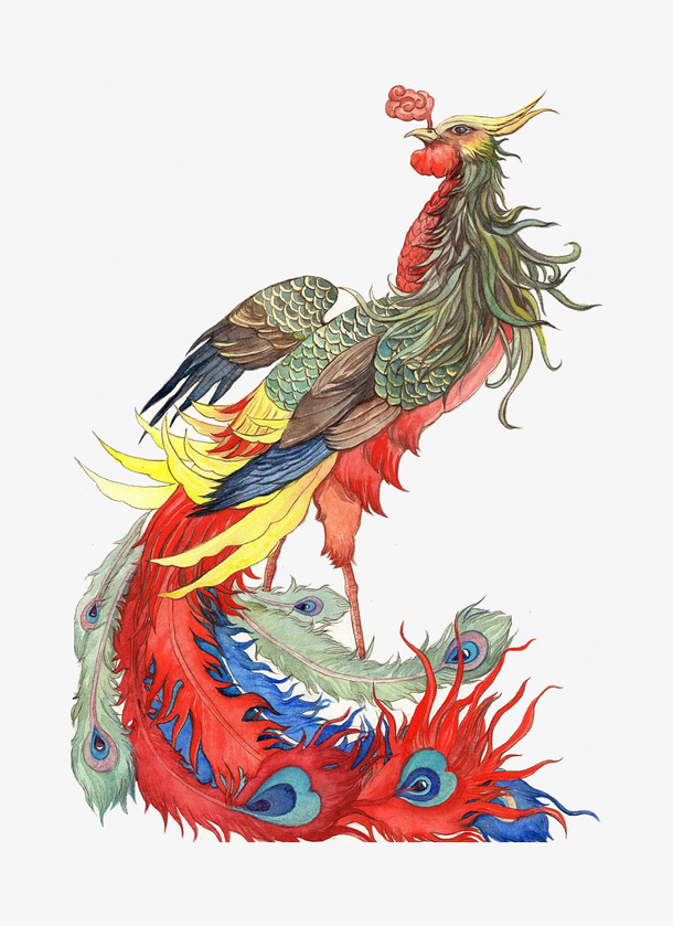 站着的凤凰免抠