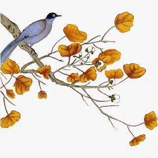 站在秋叶树枝上的鸟免抠