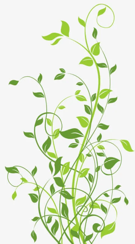 绿色藤蔓免抠