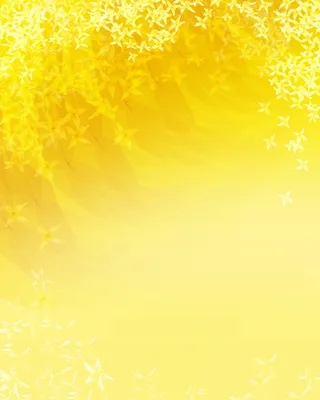 小黄花金色背景图高清