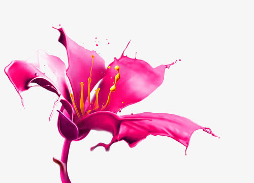 油漆红色鲜花免抠