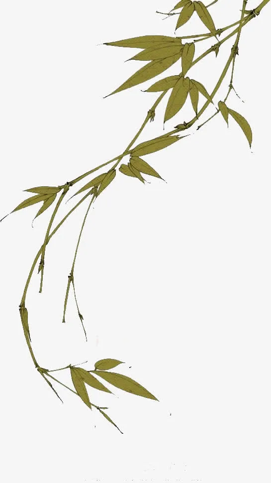 深绿色的柳枝免抠