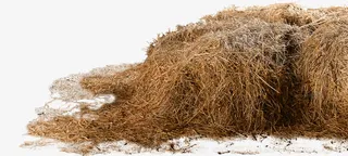 棕色枯草堆免抠