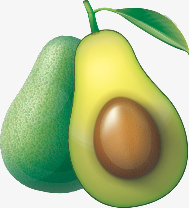 水果牛油果鳄梨手绘免抠