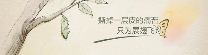 树枝手绘图高清