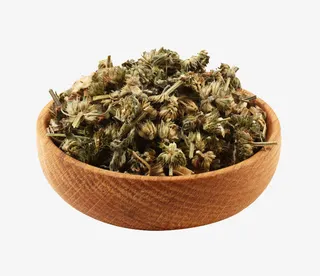 中草药益母草免抠