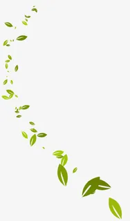 树叶漂浮元素免抠