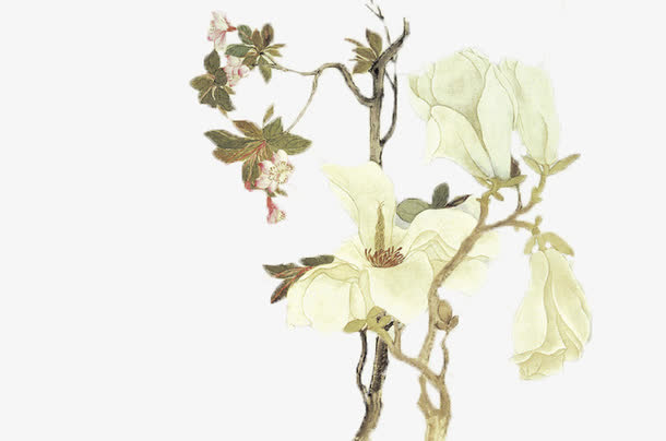 装饰花免抠