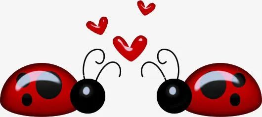 相爱的瓢虫免抠