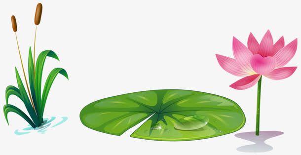 一座荷花池免抠