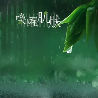 下雨树叶雨滴化妆品海报背景素材高清
