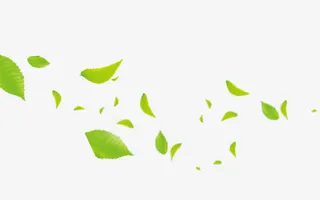 春天绿色树叶免抠漂浮叶子元素