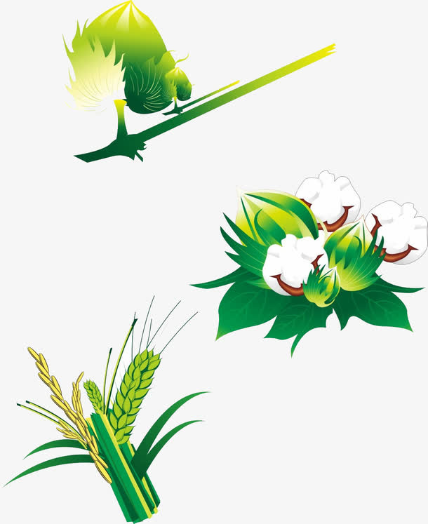 水稻 绿色免抠