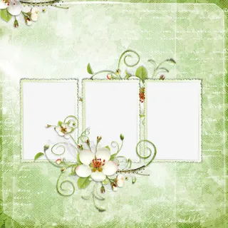 典雅花朵素材图片免抠