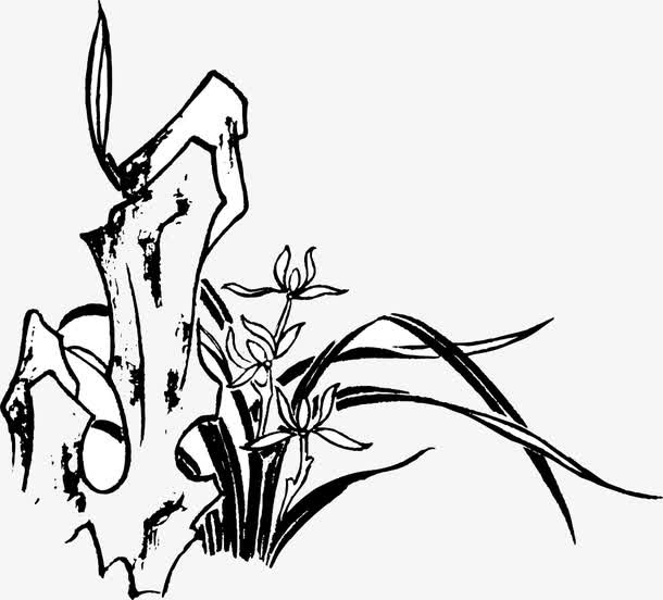 假山兰花线条图免抠