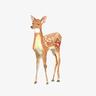 手绘梅花鹿卡通图免抠