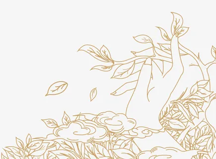 茶叶国风免抠平铺背景免抠手绘/卡通手绘元素