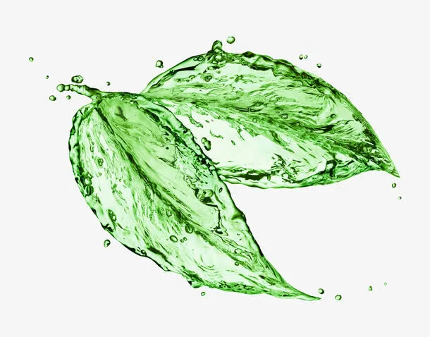 一片水晶透明的叶子免抠