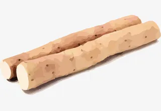 手绘风格食材山药两段免抠免抠