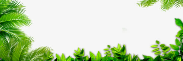 草地免抠
