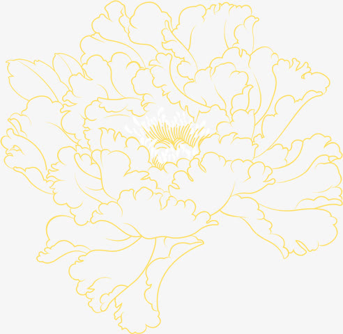 橙色线条立绘高清牡丹花免抠