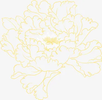 橙色线条立绘高清牡丹花免抠 橙色线条立绘高清牡丹花免抠