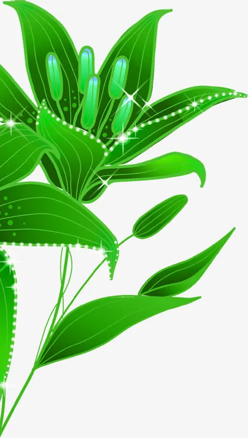 手绘绿色春季植物树叶免抠