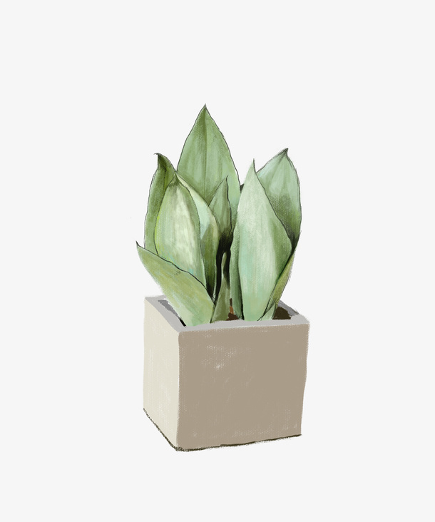 家居装饰绿植免抠