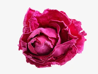 一朵金边玫瑰免抠